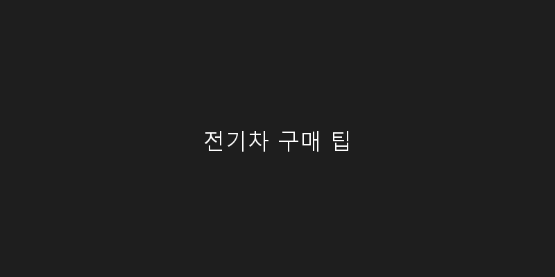 전기차 구매 팁 이미지